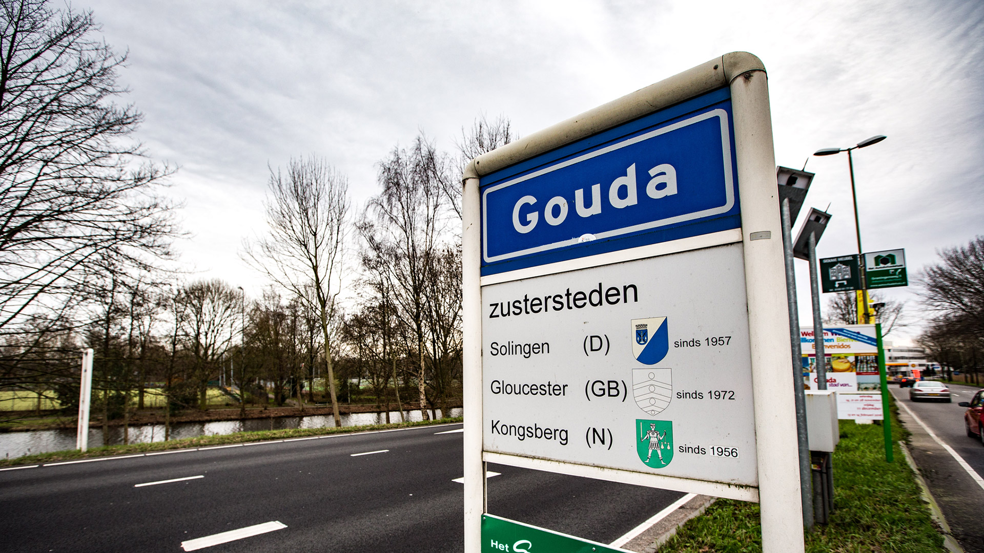 gouda